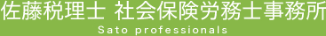 Sato Professionals of Tax aud Business Outsourcing